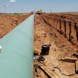 Meet your Posher, Rogelio